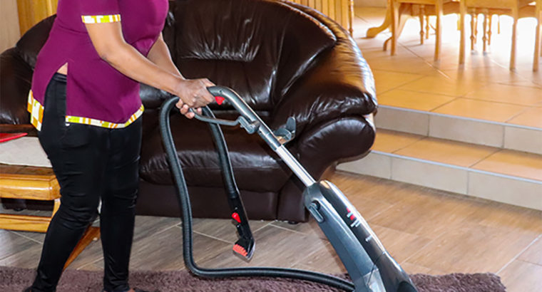 Dusted cleaning services