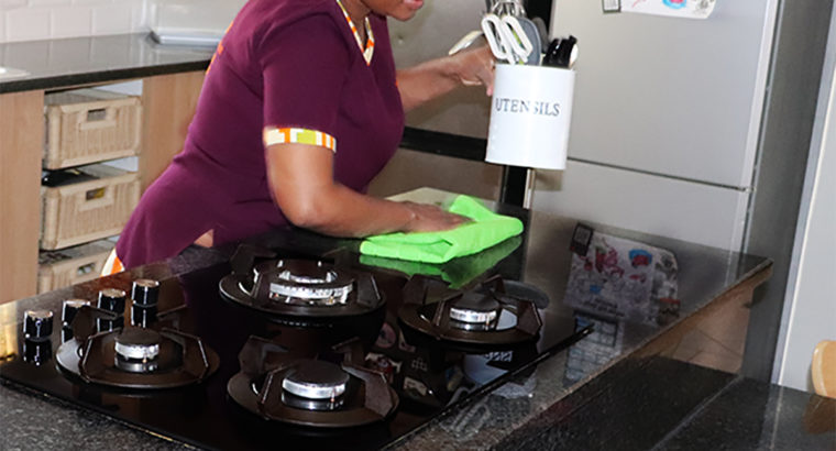 Dusted cleaning services
