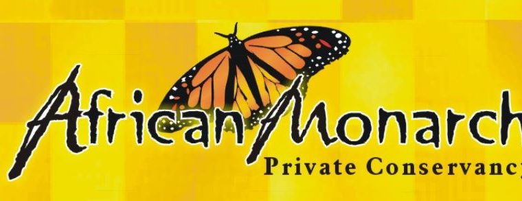 Websites, Hosting, domains and graphic design