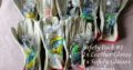 Safety harnesses and starter P.P.E. – safety packs and gloves