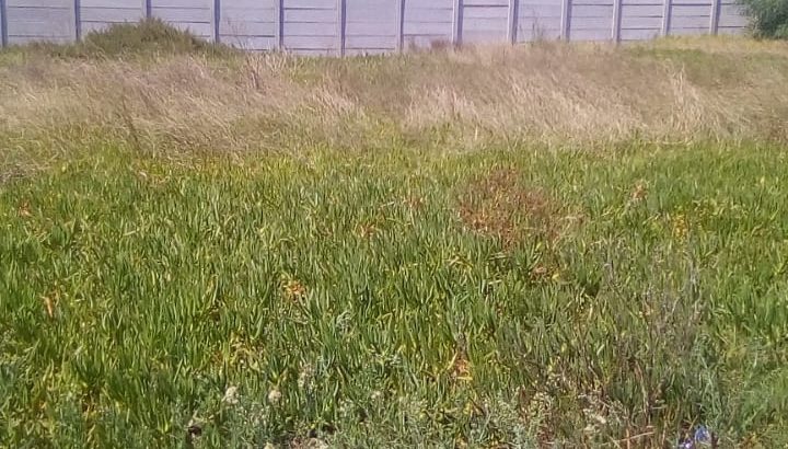 Albertinua vacant land