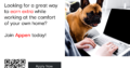 Pet Video Data Collection for English Speakers in Kenya