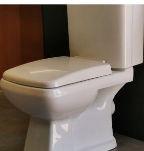 Hytek Premium Basin Pedestal & Premium Close Couple Toilet Set