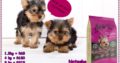 Affordable Premium Pet Nutrition