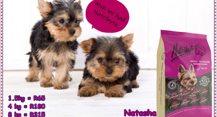 Affordable Premium Pet Nutrition