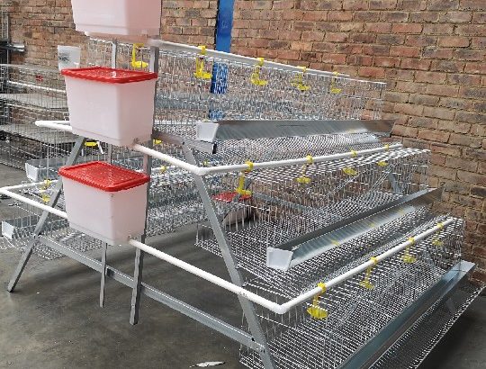 layer cages available