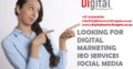 Website Designing Services Midrand, Gauteng South Africa