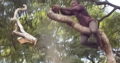 INTYM TREE FELLING AND GARDEN SERVICES