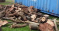 INTYM TREE FELLING AND GARDEN SERVICES