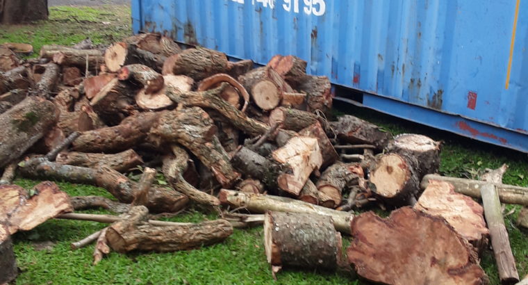 INTYM TREE FELLING AND GARDEN SERVICES