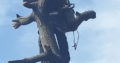 INTYM TREE FELLING AND GARDEN SERVICES