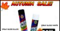 Spray Gloss Black/White ONLY R50!