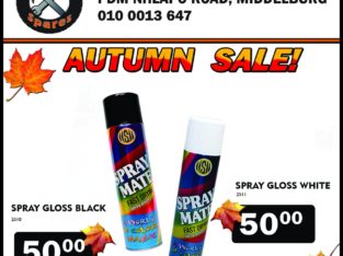 Spray Gloss Black/White ONLY R50!