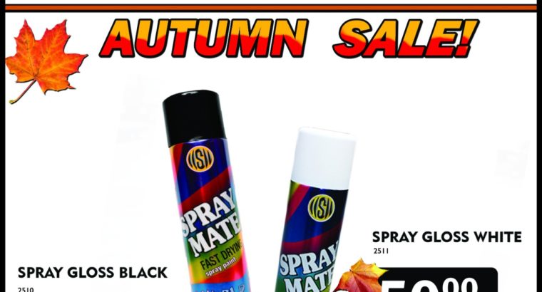 Spray Gloss Black/White ONLY R50!