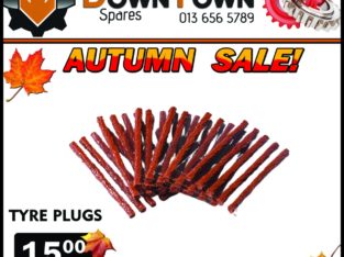 Tyre Plugs ONLY R15!
