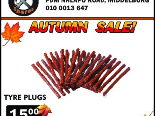 Tyre Plugs ONLY R15!