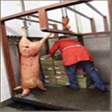 Commercial Butchery in Randfontein