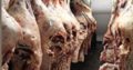 Commercial Butchery in Randfontein