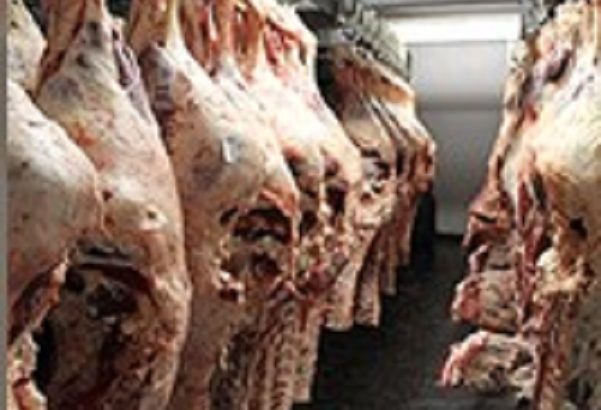 Commercial Butchery in Randfontein