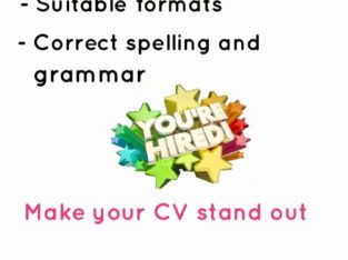 Professional CV Writing