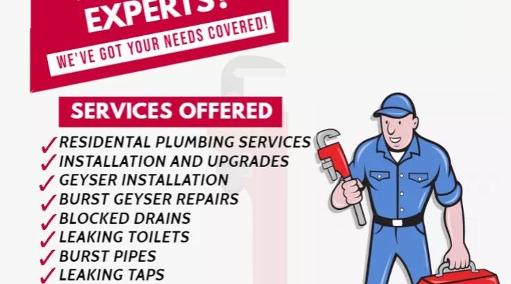 Need a plumber