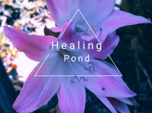Reiki healing, massage,energy balance and release