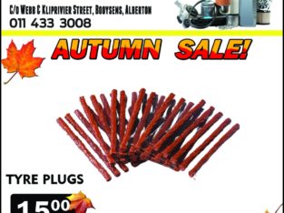 Tyre Plugs ONLY R15!
