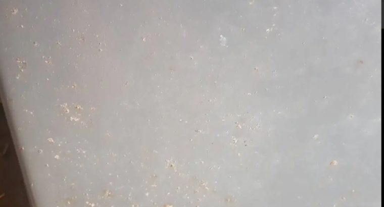 Kelvinator Dishwasher