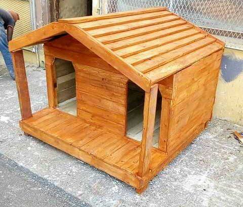 kennels
