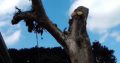 INTYM TREE FELLING AND GARDEN SERVICES