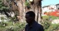 INTYM TREE FELLING AND GARDEN SERVICES