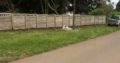 FENCE INSTALLATION