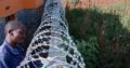 FENCE INSTALLATION