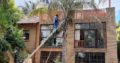 Tree felling and rubbish removals