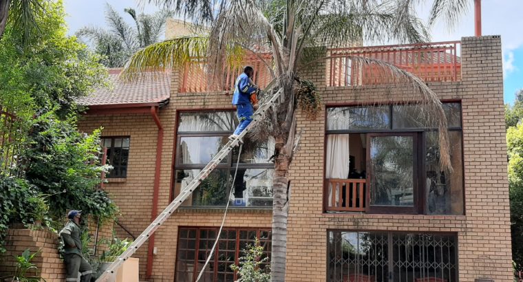 Tree felling and rubbish removals