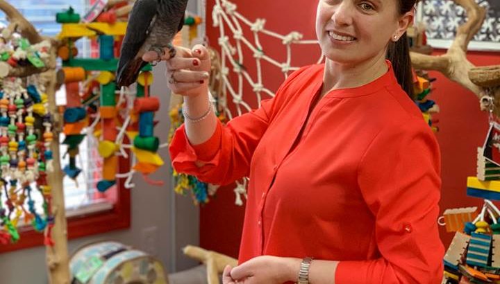 Sweet and lovely Macaws and African grey parrots for sale