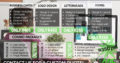 ARCLINK – Media & Design