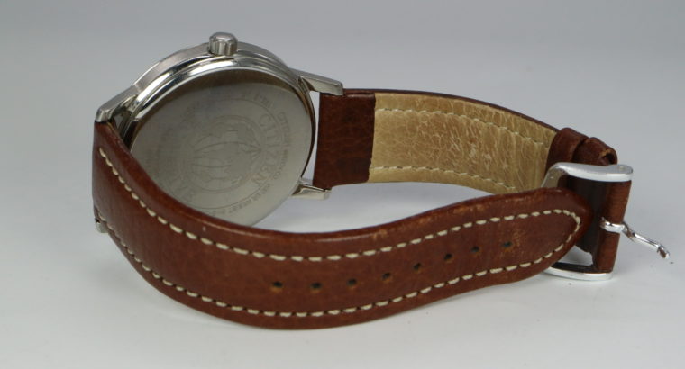 Citizen Eco Drive