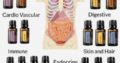 DoTerra Essential Oils