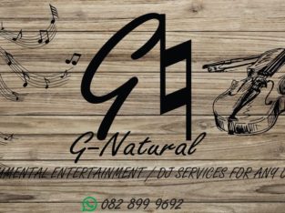Live Violin Entertainment & DJ Services