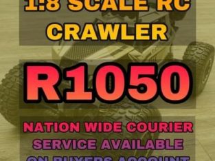 🟪 1:8 Scale RC Rock Crawlers 🟪