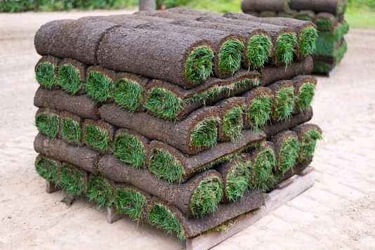 Benjamin Instant Lawn Supply and Landscaping
