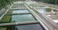 Agricultural business plans and ebooks
