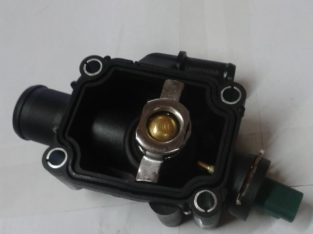 PEUG CIT C2 THERMOSTAT HO FOR SALE