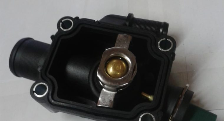 PEUG CIT C2 THERMOSTAT HO FOR SALE