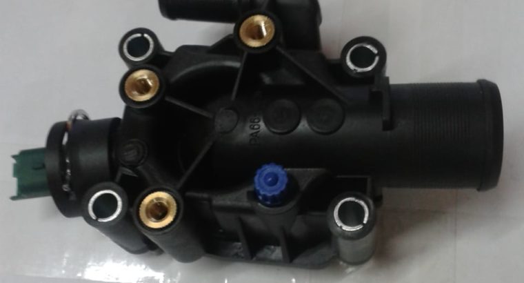 PEUG CIT C2 THERMOSTAT HO FOR SALE