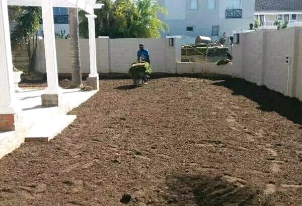 Benjamin Instant Lawn Supply and Landscaping