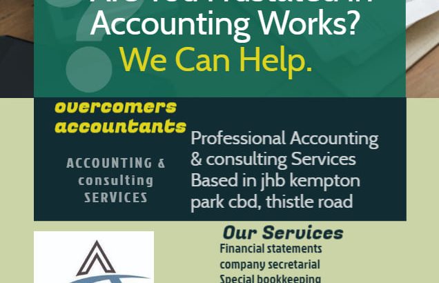 ACCOUNTING AND CONSULTING SERVICES