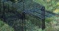 Feral Cat Trap Cage for Hire per Week – Cape Town