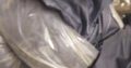 Genuine leather off cuts for sale